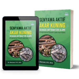 Senyawa Aktif Akar Kuning sebagai Antibakteri Alami pada Ikan Patin