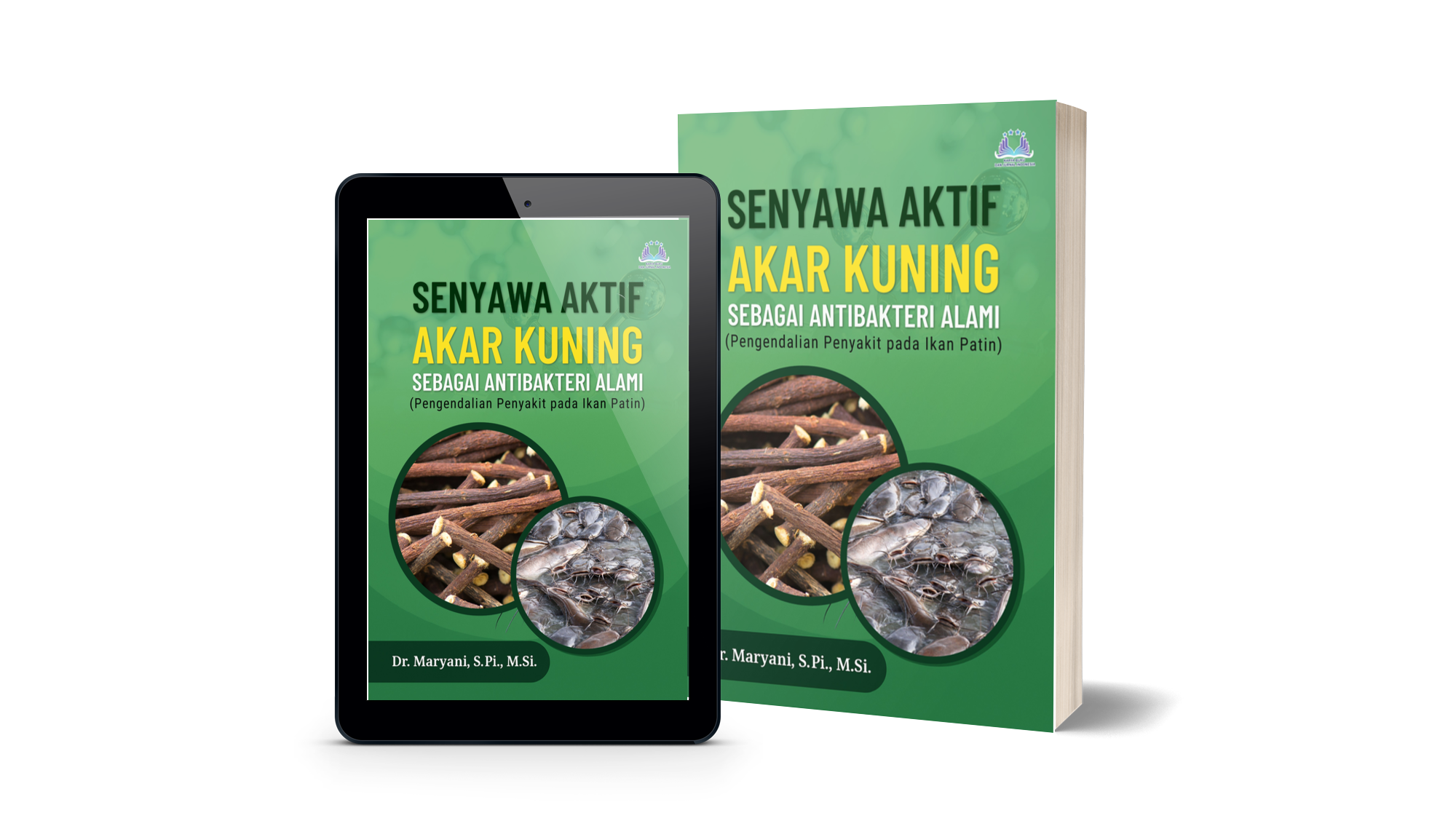 Senyawa Aktif Akar Kuning sebagai Antibakteri Alami pada Ikan Patin